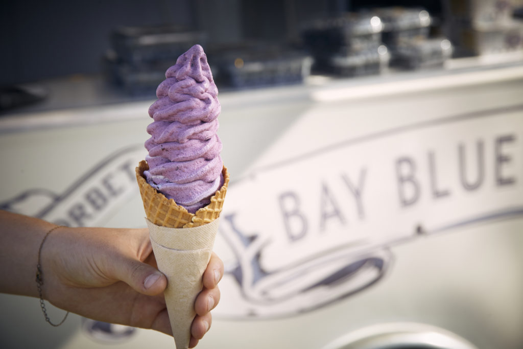 hawkes-bay-farmers-market-bay-blueberries-ice-cream