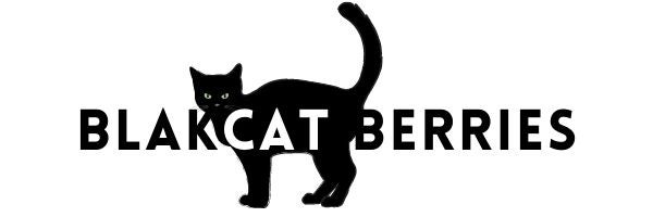 blakcat-berries-logo