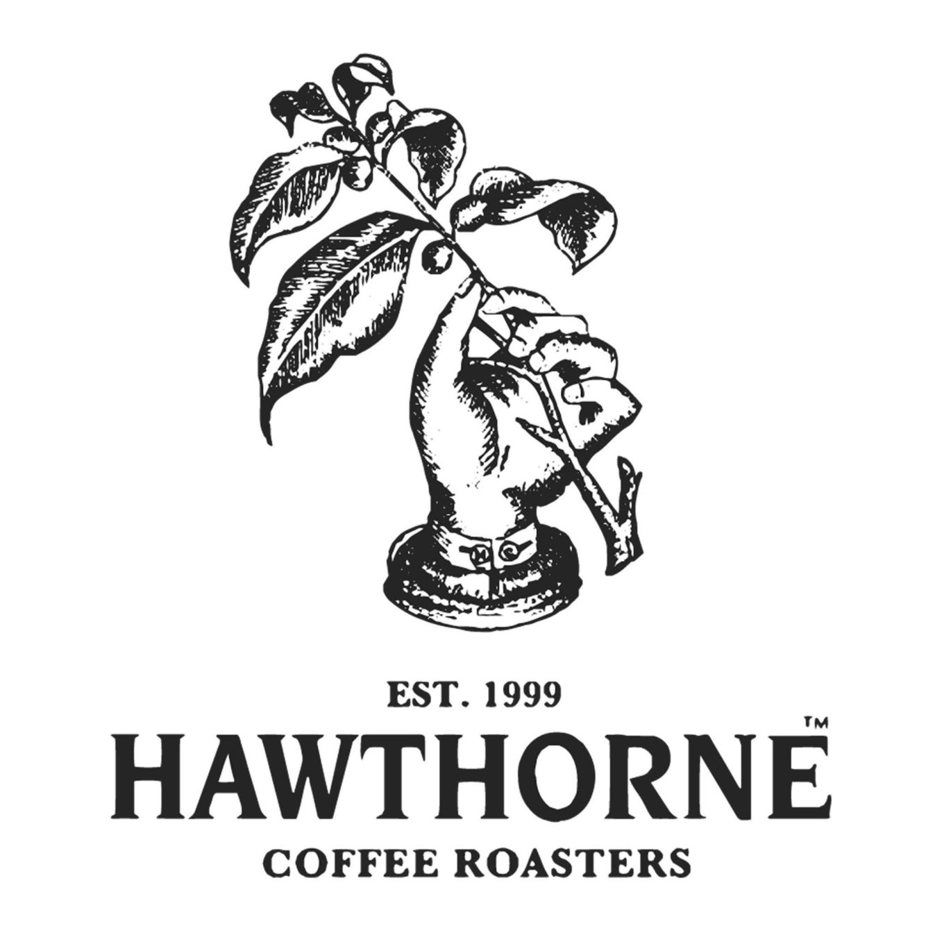 hawkes-bay-farmers-market-hawthorne-coffee