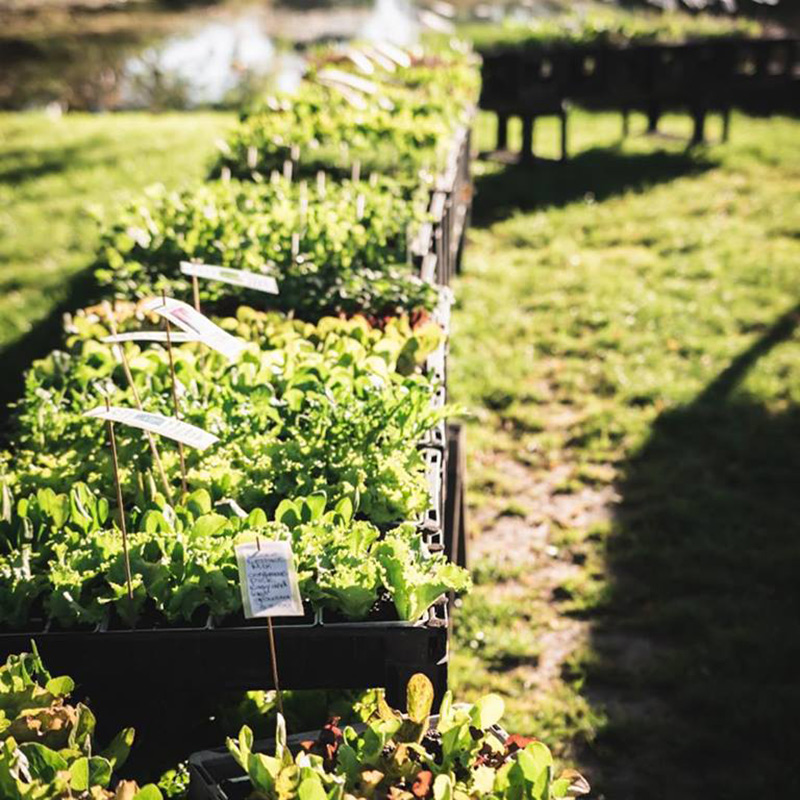 Hawke's Bay Farmers' Market, Hastings and Napier – Stallholders