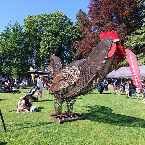hawkes-bay-farmers-market-rooster