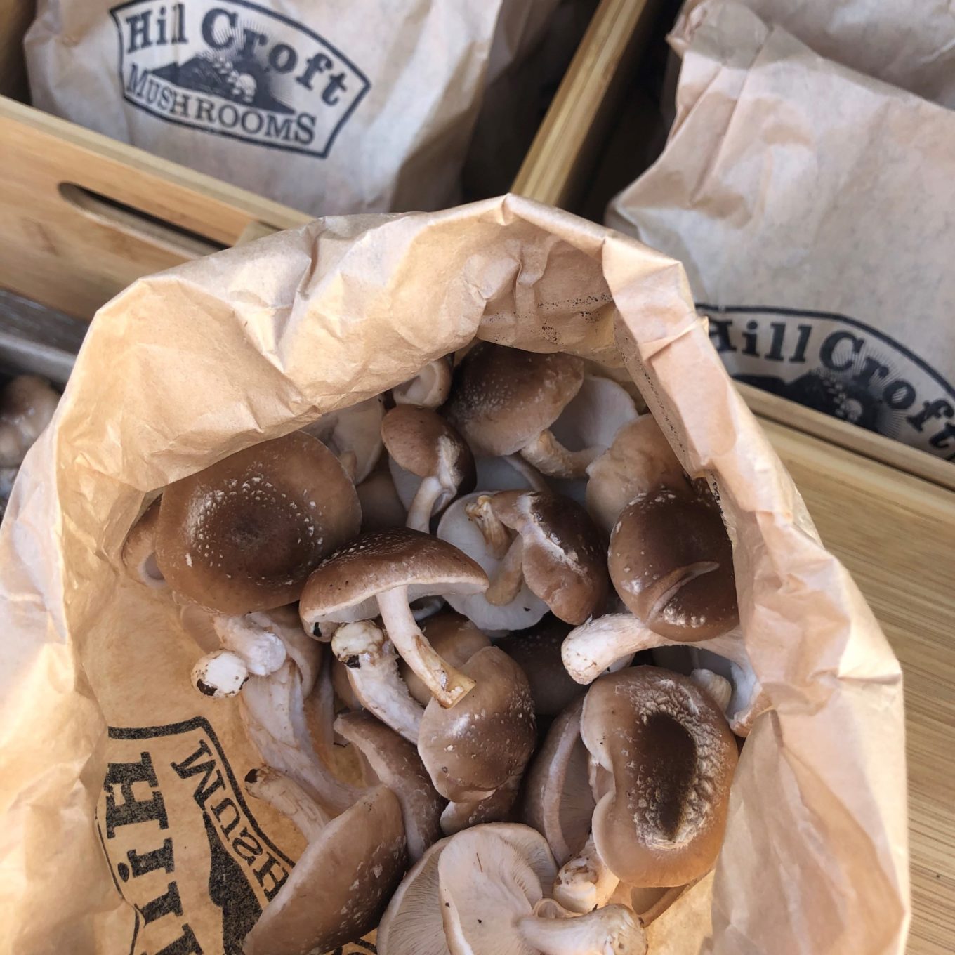 Hillcroft Mushrooms
